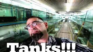 Aquarium Dietzenbach Tour Part One!