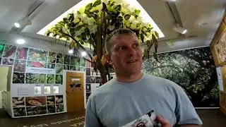 CHOCOLATE MUSEUM | LITHUANIA 🇱🇹 | KING SERVA