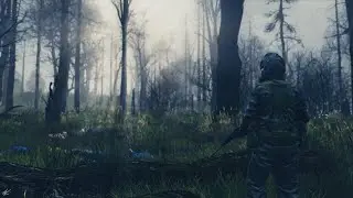 DAYZ  STALKER Quant