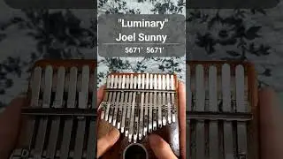 Luminary - Joel Sunny ||| Ellin Kalimba cover #luminary #kalimba #shorts