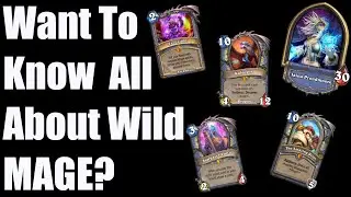 Wild Class Overviews: MAGE!
