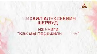 Смена логотипа канала Звезда на День Победы (09.05.2018)