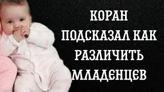 Коран подсказал как различить младенцев