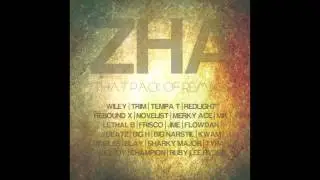 Tempa T - Next hype (Zha remix)
