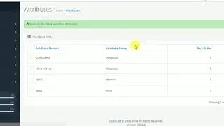 Opencart Extension Delete Unused Attributes and Attribute Groups