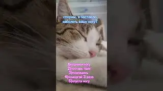 8 ноября 2023 г.