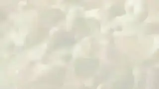 О подвигах ингушских и чеченских воинов из Дикой дивизии.