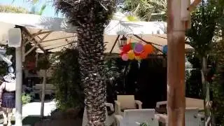 Оазис в пустыне(1)