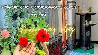 දවස සතුටින් පටන් ගමු 💐Morning Vlog | Gratitude | Nature lover