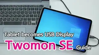 [Twomon SE] Using Video