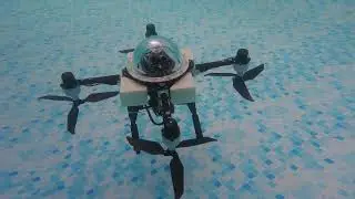 TJ-FlyingFish flying/aquatic drone