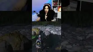 Slapping turtle :D