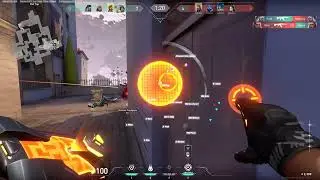 IQ 1000