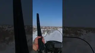 Охота на волков!самый быстрый ВОЛК