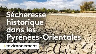 Pyrénées-Orientales, une sécheresse historique