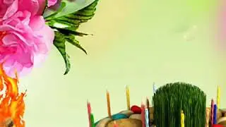 7 марта 2018 г.