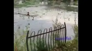 Проявления человечности 4