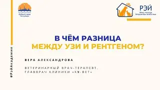 В чём разница между УЗИ и рентгеном?