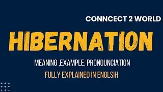 What Does  hibernation Means || Meanings And Definitions With  hibernation in ENGLISH