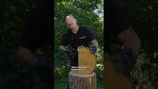 How to cut an oak tree? 
