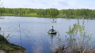 Ловля ОКУНЯ на поверхностные приманки. Холодный май
