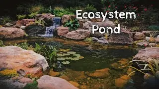 From Grass to Dream Pond in 4 Days!