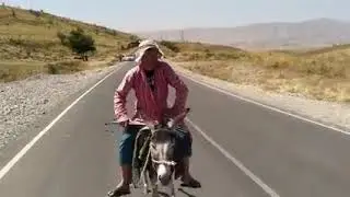 Алик