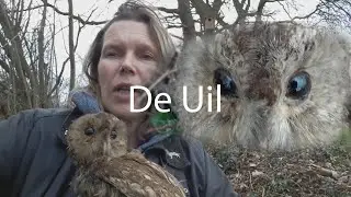 De Uil - Juf in de natuur