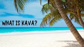 What Is Kava?
