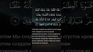 Сура Аль-Муминун,чтец Ясир Ад Даусари #коран #shortsvideo #аяты #красивоечтениекорана