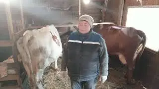 #деревенскаяжизнь  #последниеновости #Сгорела моя машина!