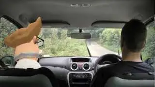 The Driving Lesson - A Muvizu and After Effects animation