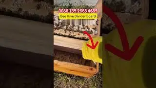 What's the Differences Between 2 Kinds of Bee Hive Divider Boards