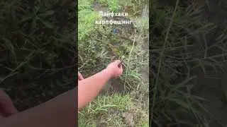Лайфхаки рыбалка карпфишинг молодец! Идея!