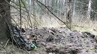 Много монет на фундаменте. Шурф в лесу 1 серия