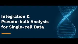 Discover How Polly from Elucidata Transforms Biomedical Data Analysis