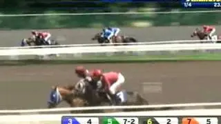 ARLINGTON PARK, 2010-05-27, Race 3