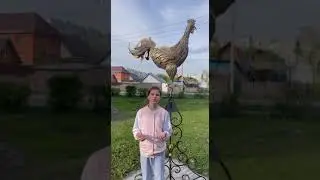 Газина Анастасия