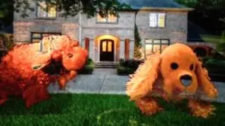 Carolina Webkinz stop motion