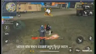 আহত বাঘ যখন ভয়ঙ্কর রূপে ফিরে আসে ...