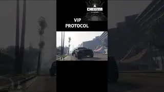 Vip protocol 
