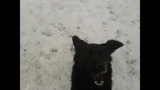 Пьяный таджик!