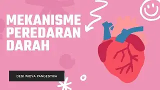 Mekanisme Peredaran Darah | Biologi Kelas XI