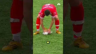 Он спас чайку, сделав искусственное дыхание… Этот герой заслуживает 1 миллион! 🐦❤️‍🩹⚽👏(