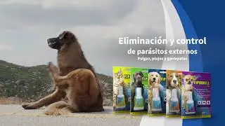 Fiprokill Plus