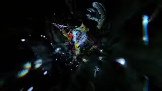 Viajante - Luiza Lian (Visualizer)