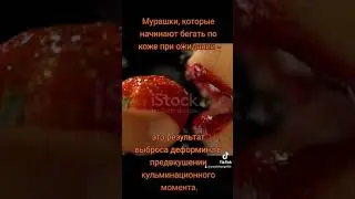 Предвкушение