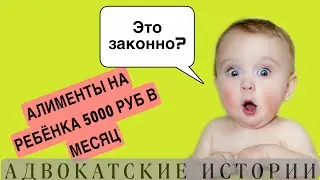 The court ordered 5,000 rubles per month for the child// Is he right?