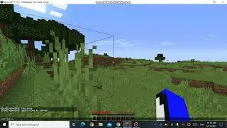 Cracked SMP 1.16.5 Join Now!!!!!!!!!!