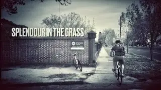Splendour in the Grass - A Poetic film